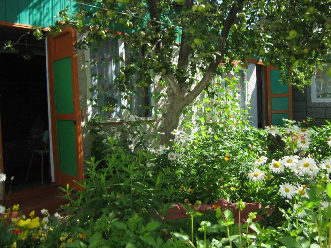 Olga Guest House 촐폰아타 외부 사진