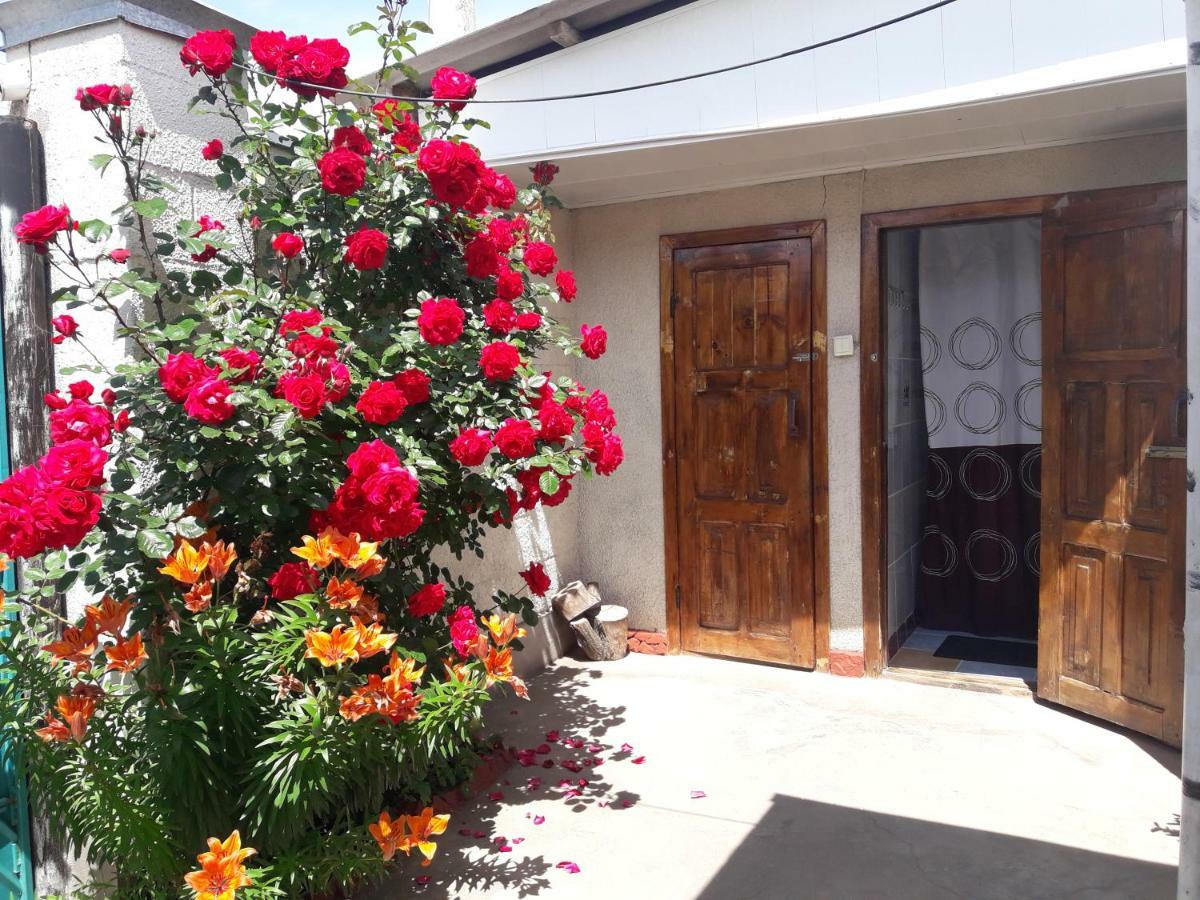 Olga Guest House 촐폰아타 외부 사진